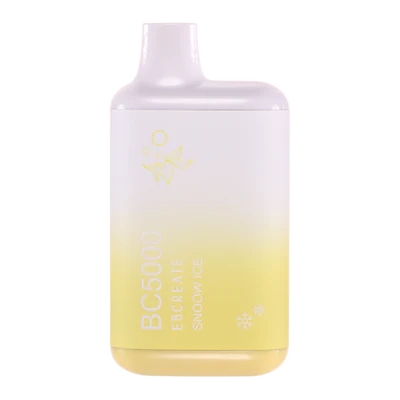 EBCREATE BC5000  Vapes - (10 Pack)