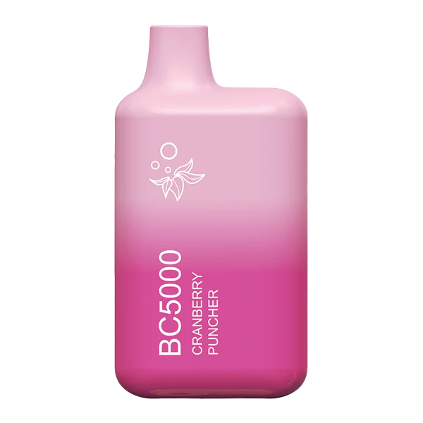 EB BC5000 Vape - (3 Pack)