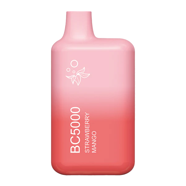 EBCREATE BC5000  Vapes - (10 Pack)