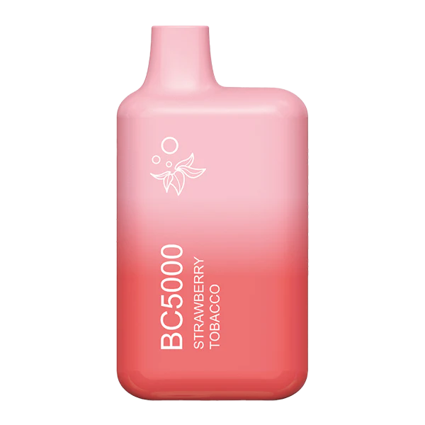 EBCREATE BC5000  Vapes - (10 Pack)