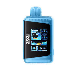 Raz DC25000 Blueberry Punch