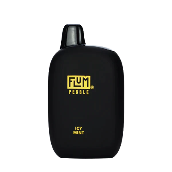 Flum Pebble Icy Mint Flavor - Disposable Vape