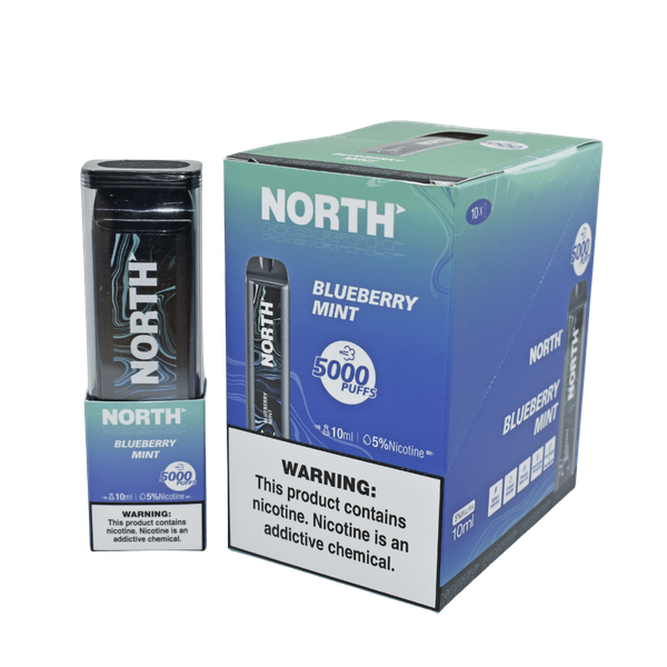North 5000 Blueberry Mint Flavor - Disposable Vape