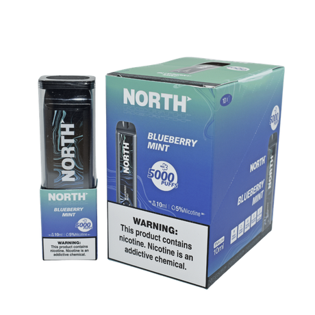 North 5000 Blueberry Mint Flavor - Disposable Vape