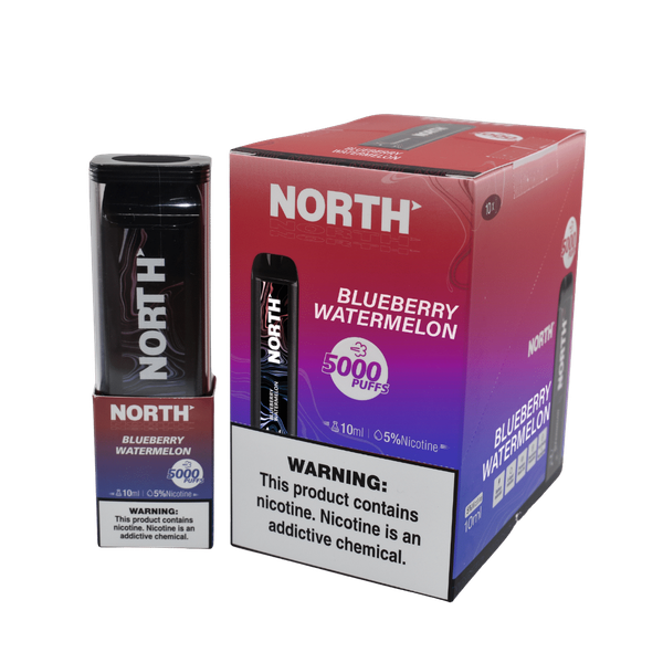 North 5000 Blueberry Watermelon Flavor - Disposable Vape