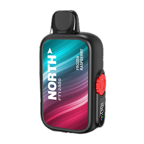 North FT12000 Frozen Raspberry Flavor - Disposable Vape
