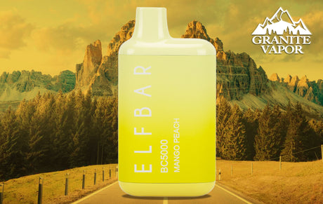 Understanding Elf Bars 5000 Pricing: Explore Costs and Options