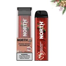 Unveiling Assurance: The Safety Standards of North Vape Products