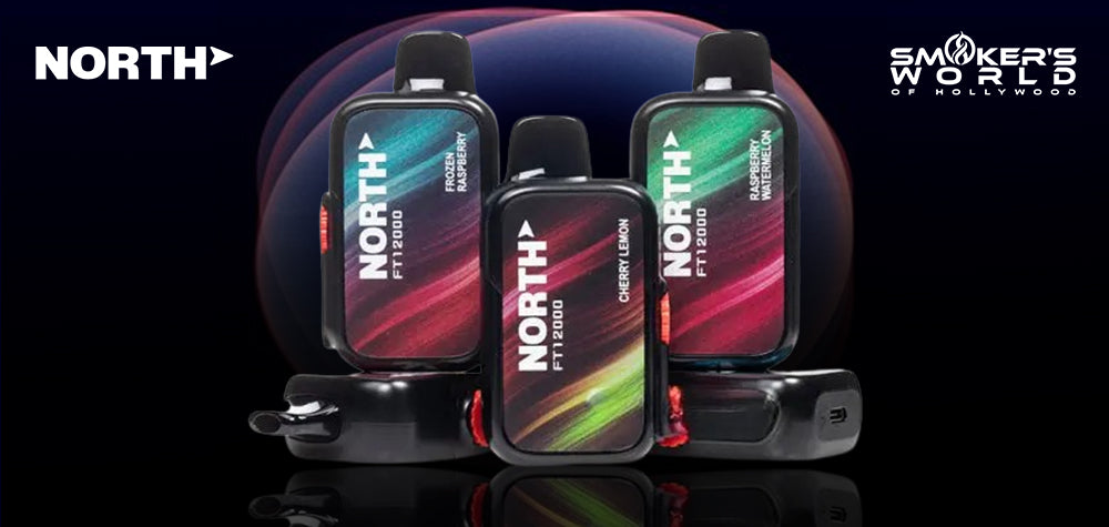 Exploring the Flavors of Future Bar Disposable Vape: A Deep Dive into North Vape FT12000