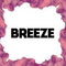 Breeze