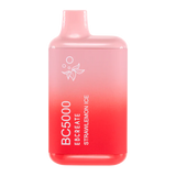 EB BC5000  Vapes - (10 Pack)