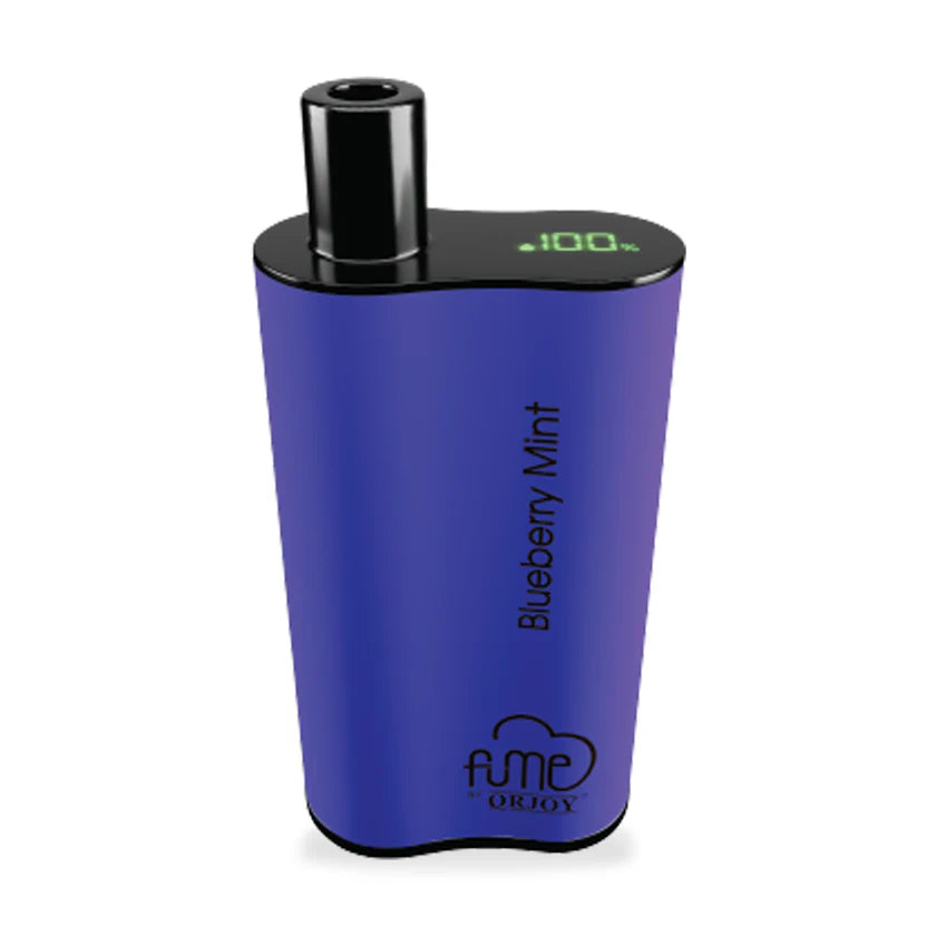 Fume Infinity 4500 Blueberry Mint