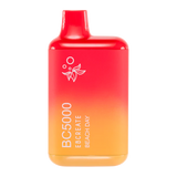 Elf Bar BC5000 Beach day Flavor - Disposable Vape