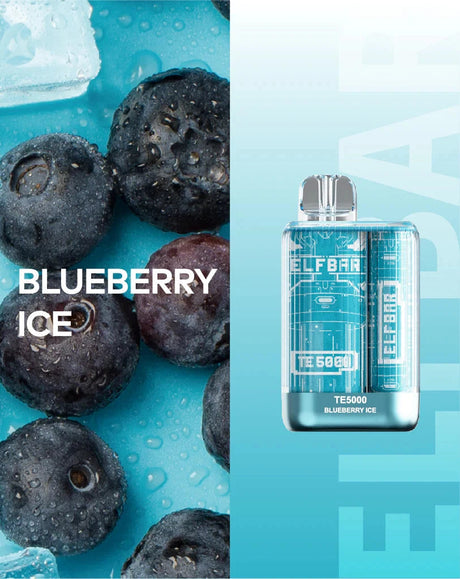 EB TE5000 Blueberry Ice Flavor - Disposable Vape