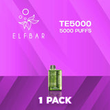 EB TE5000 Flavor - Disposable Vape
