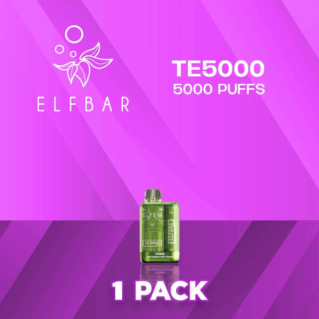 EB TE5000 Flavor - Disposable Vape