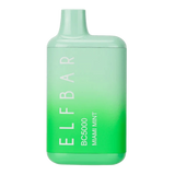 EB BC5000 Zero Miami mint Flavor - Disposable Vape