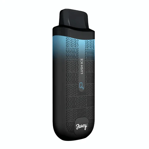 JUUCY Model QS Disposable Vape 4400 Puffs - 1 Pack  Smokers World