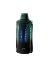 Cool Mint Lost Mary VIZ 55K Disposable Vape