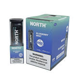 North 5000 Blueberry Mint Flavor - Disposable Vape