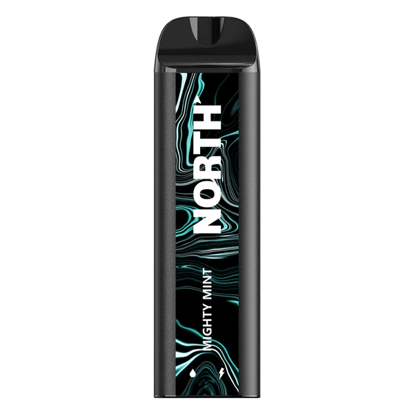 North 5000 Mighty Mint Flavor - Disposable Vape
