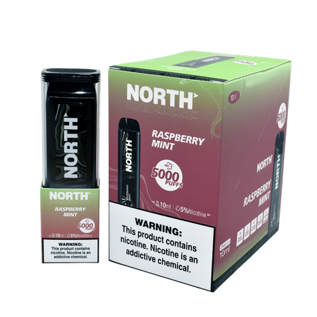 North 5000 Raspberry Mint Flavor - Disposable Vape
