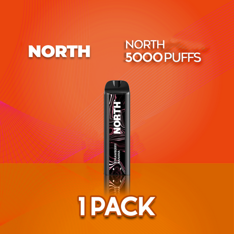 North 5000 Flavor - Disposable Vape