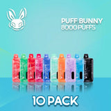 Puff Bunny Disposable Vape 8000 Puffs - 10 Pack
