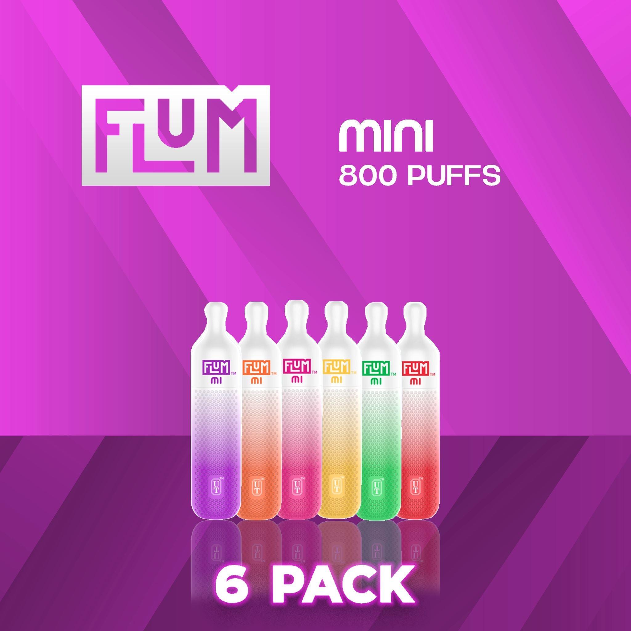 Flum MI Disposable Vape 800 Puffs - 6 Pack