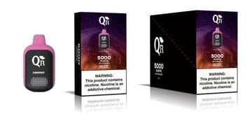 QR Disposable Vape 5000 Puffs - 10 Pack