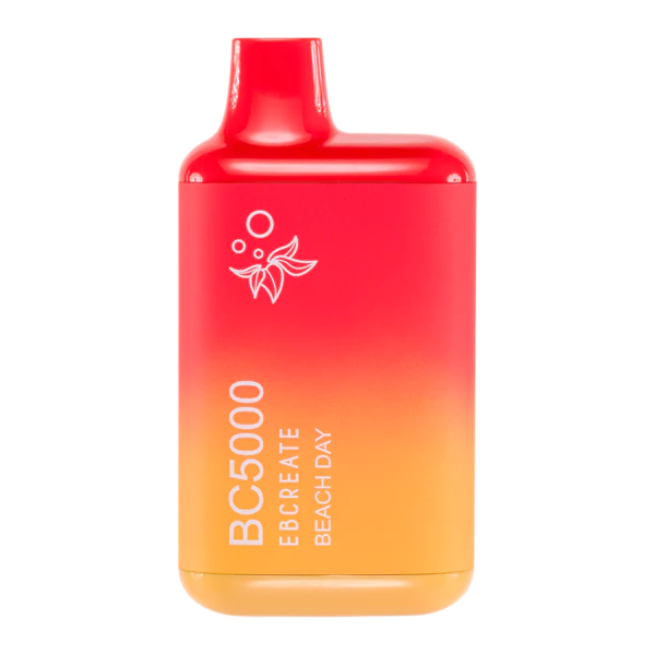 EBCREATE BC5000 Vapes - (10 Pack) - Image 36