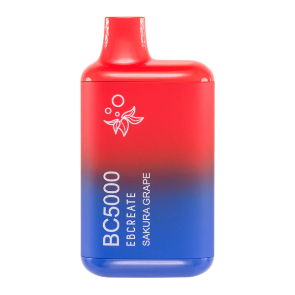 EBCREATE BC5000 Vapes - (10 Pack) - Image 44