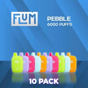 Flum Pebble 6000 Puffs Disposable Vape - 10 Pack