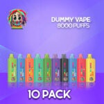 dummy-vapes-8000-puffs-disposable-vape-10-pack-1_turbo.jpg