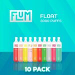 flum-float-disposable-vape-3000-puffs-10pack_turbo.jpg
