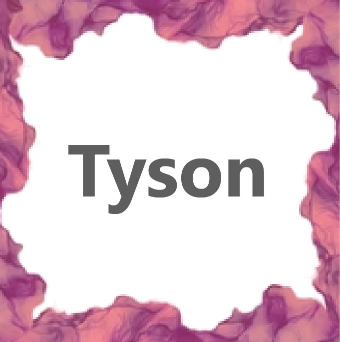 Tyson 2.0 Heavy Weight