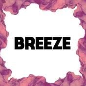 Breeze Disposable Vape