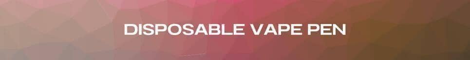 Disposable Vape Pen
